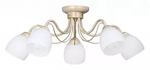 Потолочная люстра Vitaluce V3598 V3598/5PL