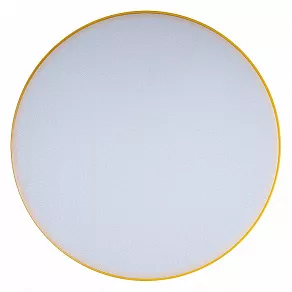 Накладной светильник Loft it Axel 1 10002/24 Yellow
