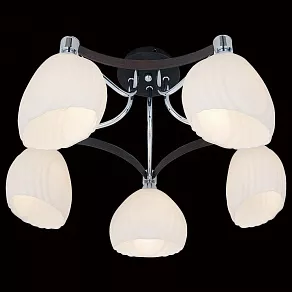 Потолочная люстра Citilux Ирис CL143151