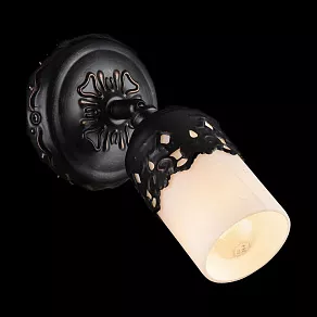 Спот Maytoni Renda ECO562-01-R