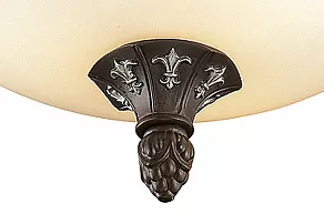 Накладной светильник Odeon Light Ridera 2784/3C