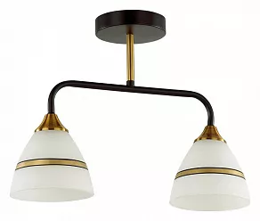 Светильник на штанге Lumion Nettie 5214/2CA