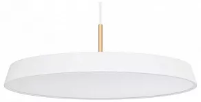 Подвесной светильник Arlight ELEGANT 033924(1)