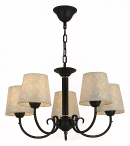 Подвесная люстра EVOLUCE Rimento SLE120303-05