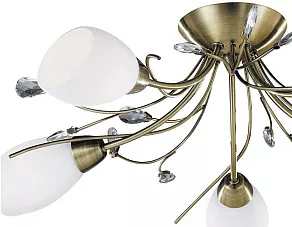Потолочная люстра Arte Lamp Gardenia A2766PL-5AB