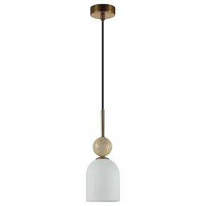 Подвесной светильник Odeon Light MIDCENT 6625/1B