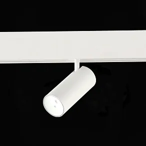 Светильник на штанге ST-Luce SKYLINE 48 ST375.506.07ZGB
