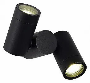 Светильник на штанге ST-Luce Ecollo SL9011.402.02