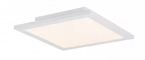 Накладной светильник Globo Rosi 41604D1D