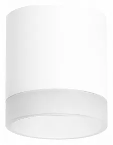Накладной светильник Lightstar Rullo R348680