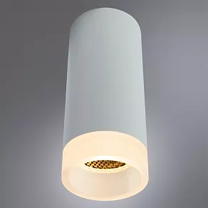 Накладной светильник Arte Lamp Ogma A5556PL-1WH