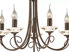 Подвесная люстра Odeon Light Riva 2529/5