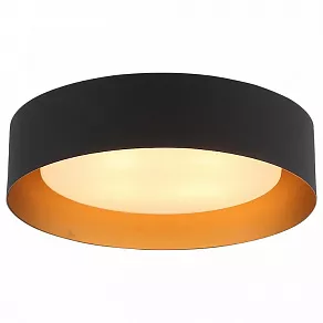 Накладной светильник ST-Luce Chio SL392.422.04