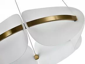 Подвесная люстра Zortes MOON ZRS.1210.60