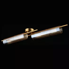 Накладной светильник Aployt Lusia APL.315.07.04