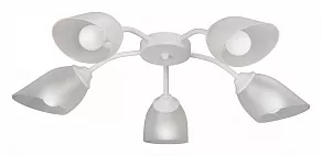 Потолочная люстра Vitaluce V3750 V3750-0/5PL