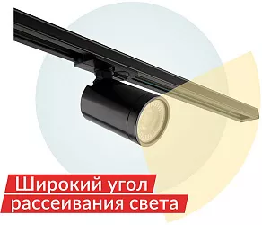 Светильник на штанге Denkirs DK6500 DK6501-BK