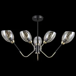 Люстра на штанге ILLUMICO  IL9960-6CSQ-79 BK AB