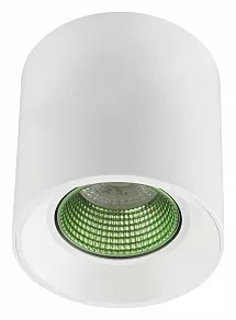 Накладной светильник Denkirs DK3020WGR DK3090-WH+GR
