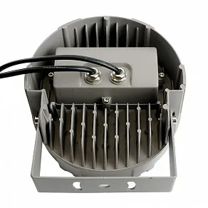 Настенно-потолочный прожектор Feron LL-899 52106