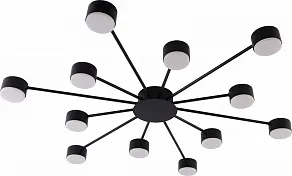 Потолочная люстра Rivoli Leona 3184-312