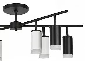 Люстра на штанге Lightstar Rullo LR7283743640