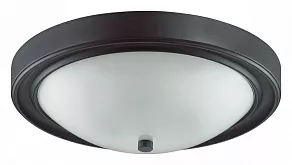 Накладной светильник Lumion Nina 5260/3C