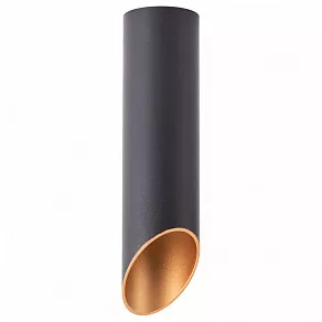 Накладной светильник Arte Lamp Pilon-Silver A1535PL-1BK