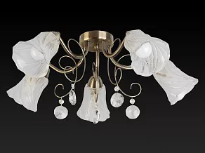 Потолочная люстра TopLight Charla TL7100X-05AB