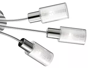 Потолочная люстра Odeon Light Hales 2613/6C