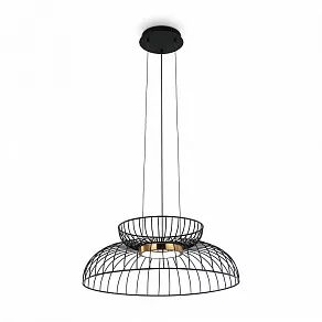 Подвесной светильник Freya Citrus FR5398PL-L6B