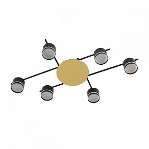 Потолочная люстра Lumion BENUA 8304/6C