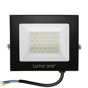 Настенно-потолочный прожектор Luminarte LFL-50W LFL-50W/06