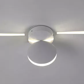 Светильник на штанге Favourite Collare 2000-1W