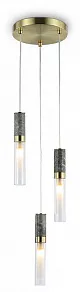 Подвесной светильник Ambrella Light LH LH53351