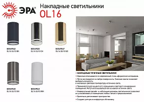 Накладной светильник Эра OL16 GU10 BK Б0049042