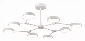 Люстра на штанге EVOLUCE Monta SLE6003-502-08