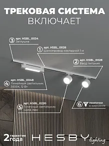 Комплект трековый Hesby Lighting Skylite №14 HSBL_kompl_S014_NI1W4K