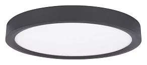 Накладной светильник Loft it Extraslim 10227/24 Black