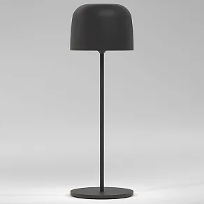 Настольная лампа декоративная Elektrostandard Bitty a069002