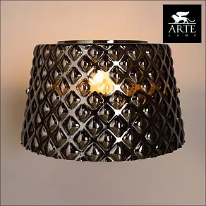 Накладной светильник Arte Lamp Facezia A1554AP-1CC