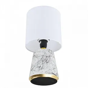 Настольная лампа декоративная Lumion GIATA 8169/1T