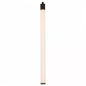 Подвесной светильник Maytoni Ray P021PL-L10B