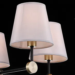 Люстра на штанге ILLUMICO CASTOR IL0394-5CSQ-24 BK AB CASTOR