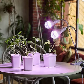 Лампа светодиодная Uniel  E27 10Вт K UL-00001820