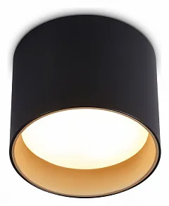 Накладной светильник Ambrella Light TN TN5306