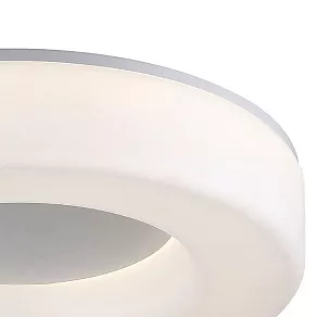 Накладной светильник ST-Luce Lordin SL886.512.01_LED