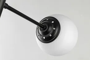 Люстра на штанге Lampit FINO TP 2007-6 BK