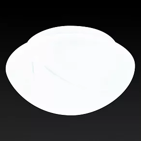 Накладной светильник TopLight Rosamond TL9420Y-02WH