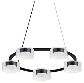 Подвесная люстра Arte Lamp ALIUS A8042SP-5BK